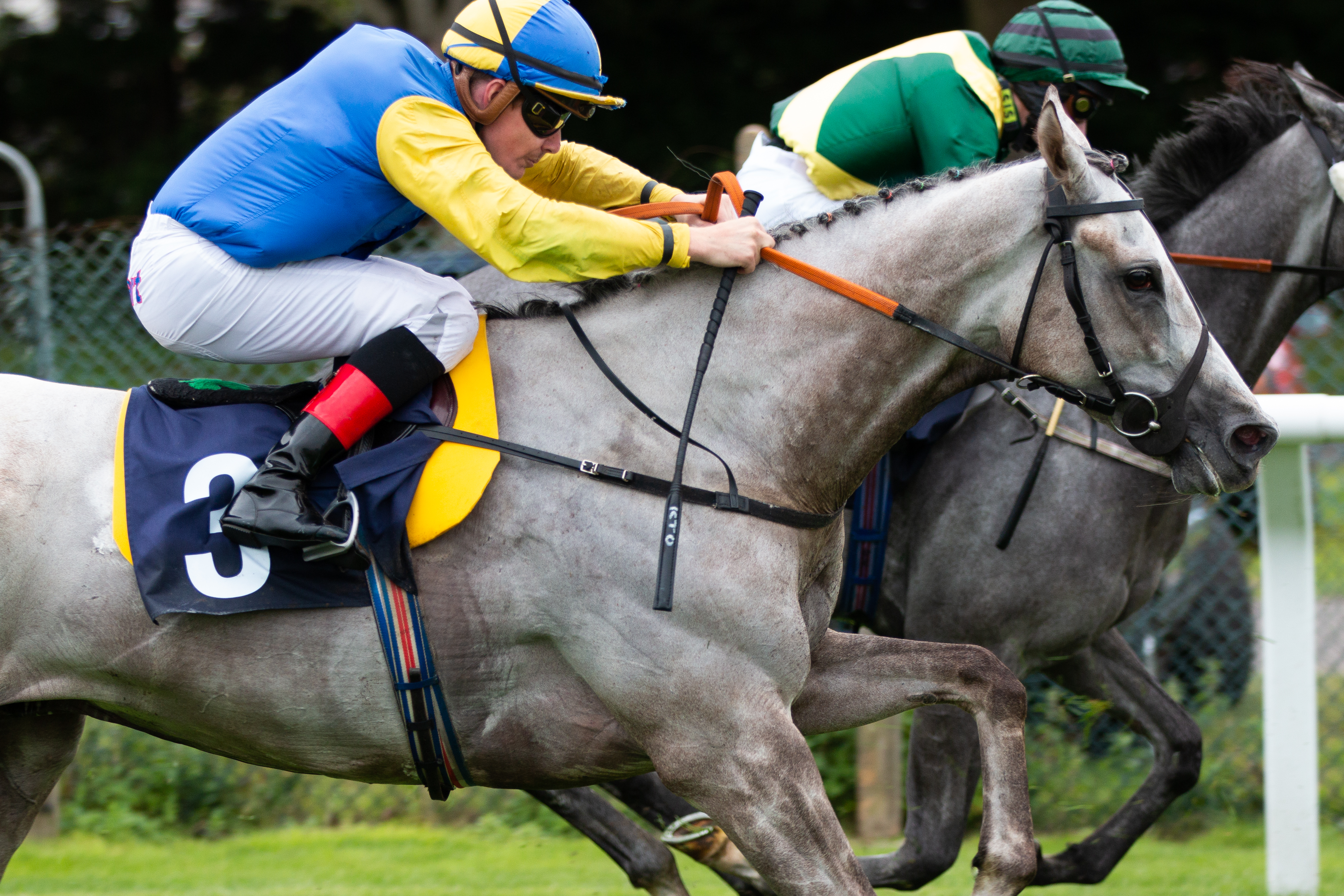 Brighton races; Photo copyright Barry Collins
