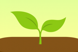 Forest app review