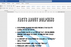 Background image in Word